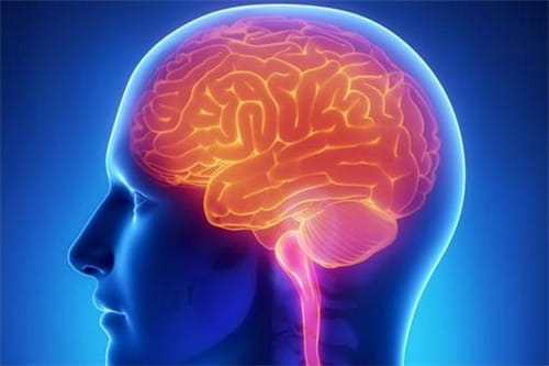 食脑虫真的吃脑子吗