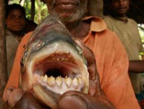 咬男生的脸_咬男人的手_