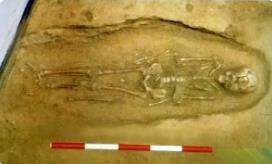 妖魔害人_妖魔鬼怪的女人_