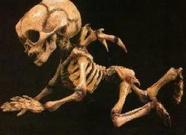 _长着天使翅膀的宝宝_天使翅膀骨架