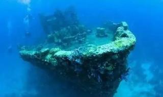 黄金药丸干什么用的_黄金丸作用_