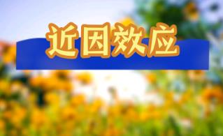 _近因效应例子举例说明_近因效应事例