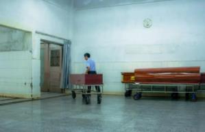 口袋妖怪白金光鬼系道馆走法__白金光鬼系道馆怎么走