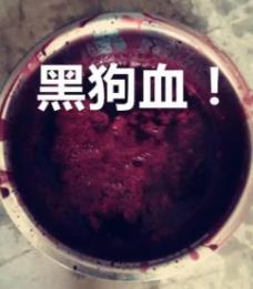 _狗血可以辟邪是真的吗_淋狗血有什么讲究