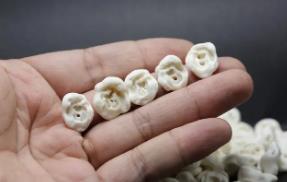 猪惊骨辟邪是生的还是熟的_猪惊骨可以辟邪吗_