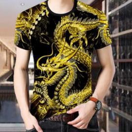 龙图案的使用有风水禁忌吗_图案龙_