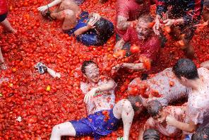 西班牙西红柿狂欢节优点缺点_西班牙西红柿狂欢节介绍_