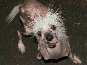 惨忍宰杀女人小说__毛发稀疏的人面相