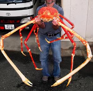 蟹稻米是什么米_蟹稻米真的好吗_