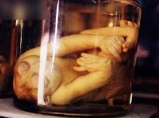 恐怖火山爆发_恐怖的火山视频_