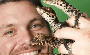 阿米做鳄鱼视频__温顺不咬人的小宠物