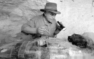 _最古老的人类头发，鬣狗粪便中现20万年前头发(粗如钢管)_最古老的人类头发，鬣狗粪便中现20万年前头发(粗如钢管)