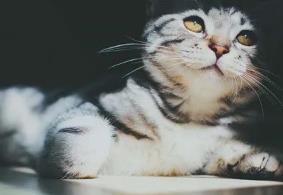 _潮汕民间鬼怪传说_中国民间鬼怪传说