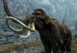 _猛犸灭绝之谜有新说阅读答案_猛犸象灭绝的主要原因