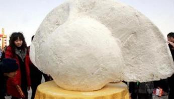 饺子口味大全集_饺子榜2018_