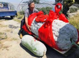 冬瓜哥哥__请播放冬瓜