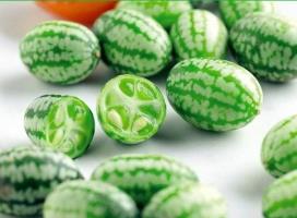 拇指西瓜多少钱一个__拇指西瓜有多重