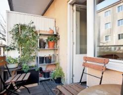 阴气重倒霉_阴气重家里放什么好_