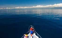 大西洋黑潮之谜,外星人隐居海底的证据(外星人海底基地)_大西洋黑潮之谜,外星人隐居海底的证据(外星人海底基地)_