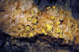 _世界上最"怪"的金矿，遍地黄金却没人敢挖，淘金者：挖了可能没命_世界上最"怪"的金矿，遍地黄金却没人敢挖，淘金者：挖了可能没命