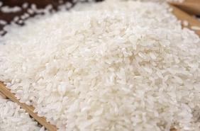 大米辟邪怎么用__大米辟邪还是小米辟邪