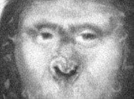 野女人扎娜之谜，未进化的猿与人类生下4个孩子(非洲猿)_野女人扎娜之谜，未进化的猿与人类生下4个孩子(非洲猿)_