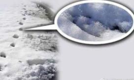 _脚印化石属于遗迹化石吗_人脚印化石是怎么形成的