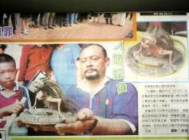 人的脑袋蛇的身体__人头蛇身子是真的吗