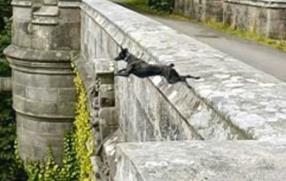 狗跳桥在哪里__英国狗跳桥