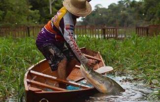 捕鱼能手是谁__捕鱼送金币游戏