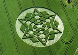 外星人麦田圈dna密码_麦田外星人_