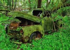 地球灭绝人类会去哪里__灭绝的地球