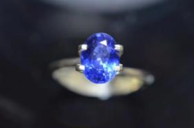 被诅咒者诅咒_我是谜离奇车祸答案_