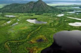 湿地面积占世界面积_广东最大的湿地_