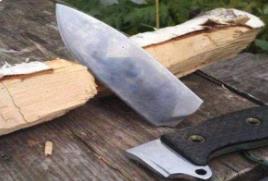 _世界上最硬的树木：比钢铁还硬一倍(用火烫才能砍断)_世界上最硬的树木：比钢铁还硬一倍(用火烫才能砍断)