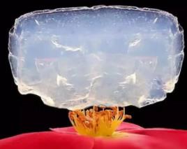 _烟雾是固体_烟雾是固体小颗粒