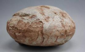 _恐龙蛋真实_恐龙蛋的来历