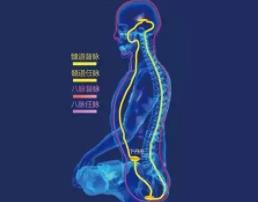 生死谜团_古代人体经络之谜,经脉维系着生命活力/决断人的生死_