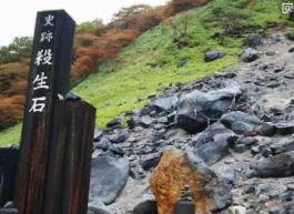 _昆虫袭击_昆虫毒