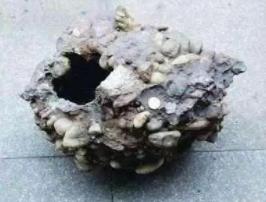 破解金陵神罐奇石之谜，历经万年自然形成的空心彩石/罕见_破解金陵神罐奇石之谜，历经万年自然形成的空心彩石/罕见_